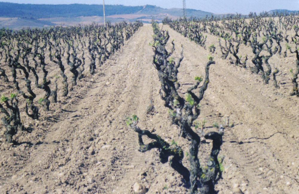 Ubeda Maison d'hôtes